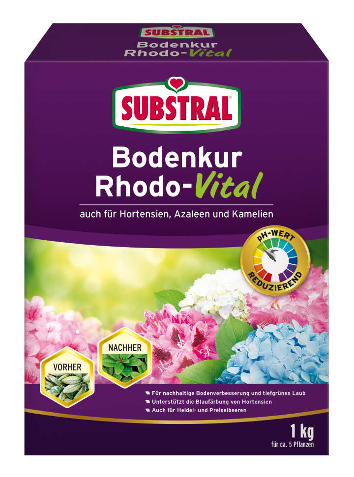 SUBSTRAL Bodenkur Rhodo-Vital